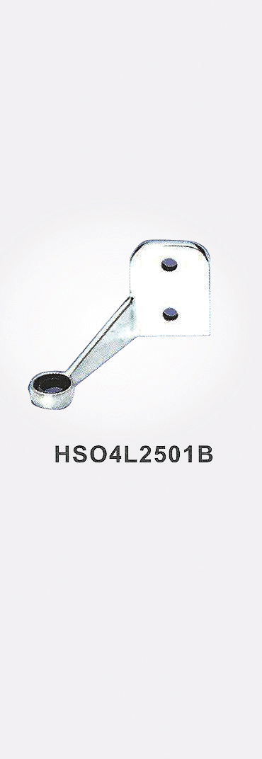 HSO4L2501B